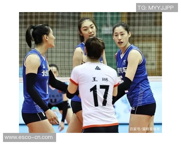 排球耐力排行榜揭晓北京排球队荣获第八名成就引关注