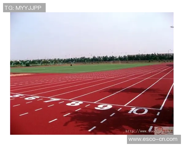 陈伟独家分享篮球心得与技巧助你提升球技的全面指南